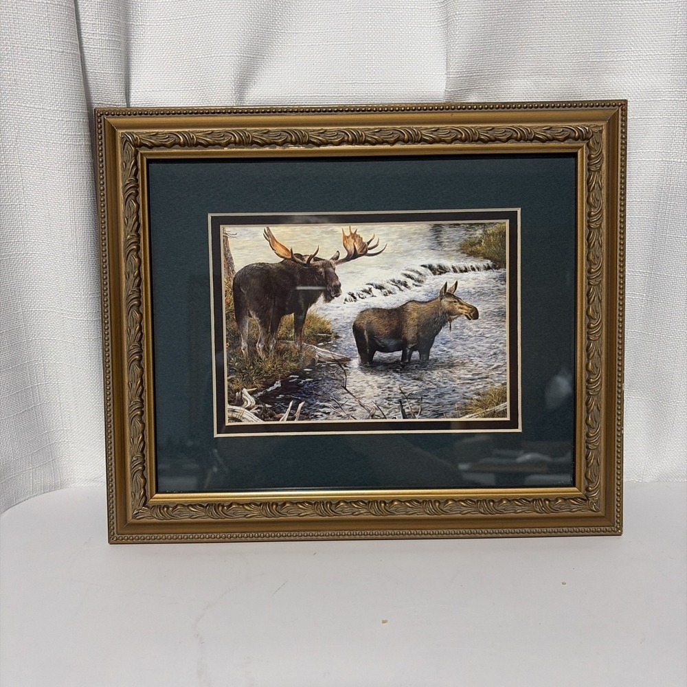Bull Moose And Cow Framed Art Print Resting At The Creek 10x12 Gold Frame